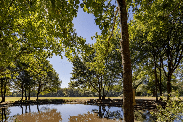 London’s most treasured areas of green space; Trent Country Park.