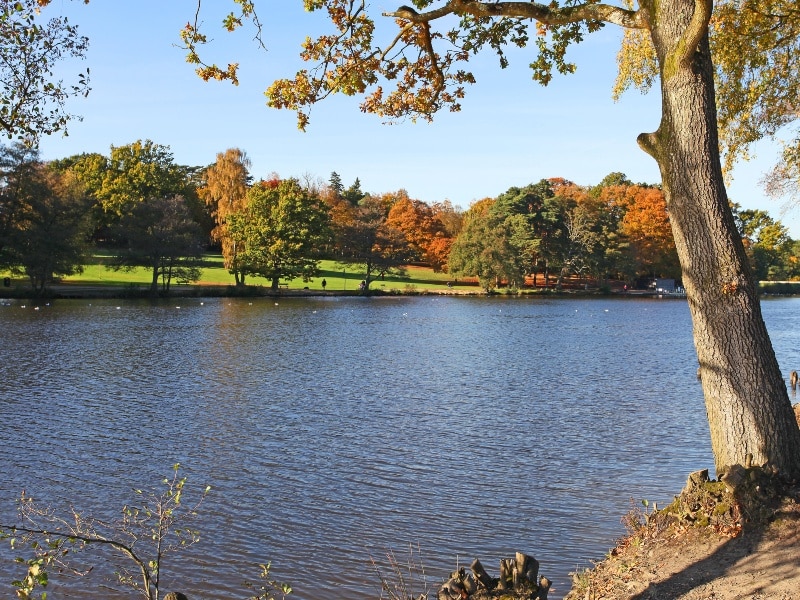 Photo looking across Tilgate Park Lake, Crawley