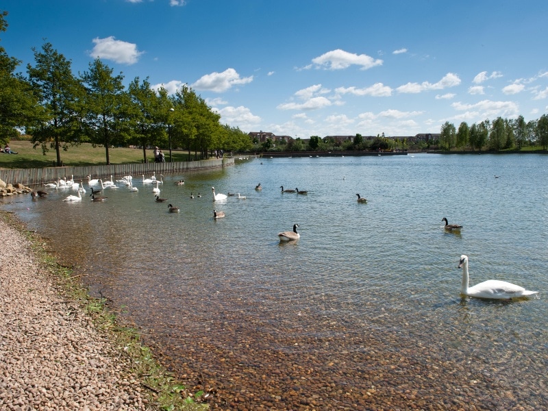 Photo of a picturesque view of Lakeside Boulevard lake, Doncaster