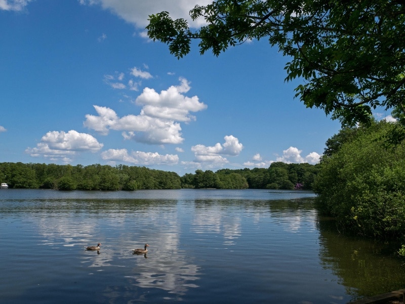 Exterior photo across the lake at Salhouse Broads The Ostlers Norwich Norfolk