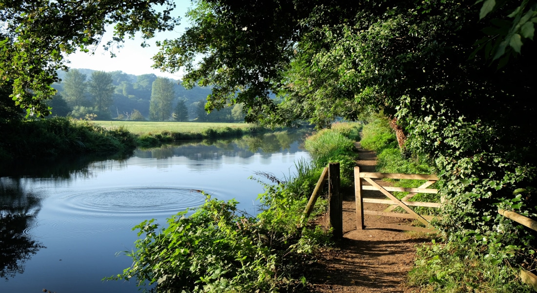 Ripples shown in the water of River Wey in Guildford with bright green trees and rolling hills of Surrey during sunrise.
