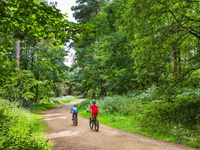 Photo showing cycling in Thetford Forest, Norwich