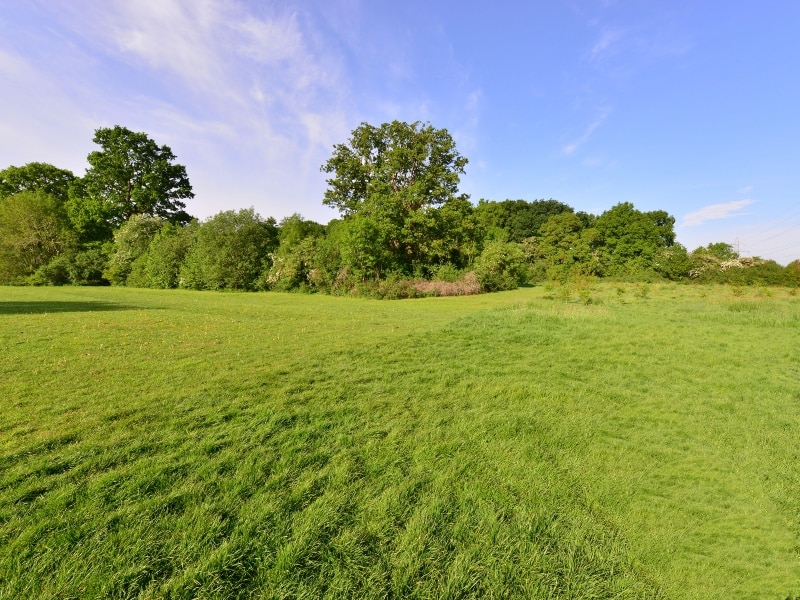Photo of fields and trees in Emlyn Meadows, Horley