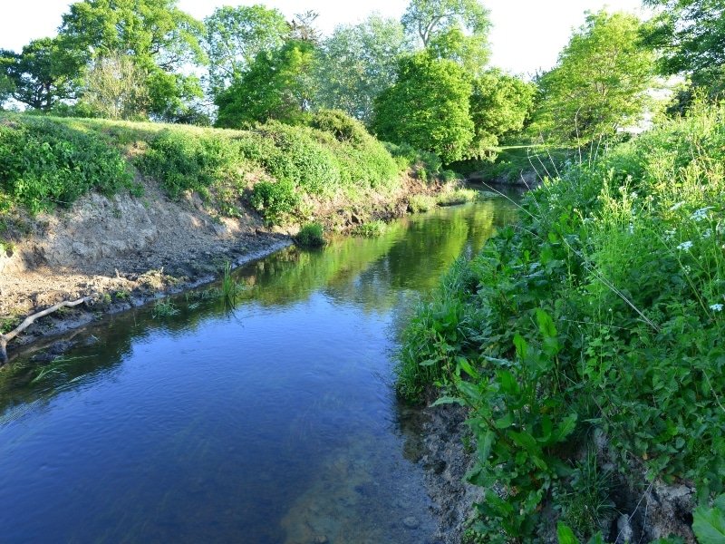 Photo of The River Mole, Horley