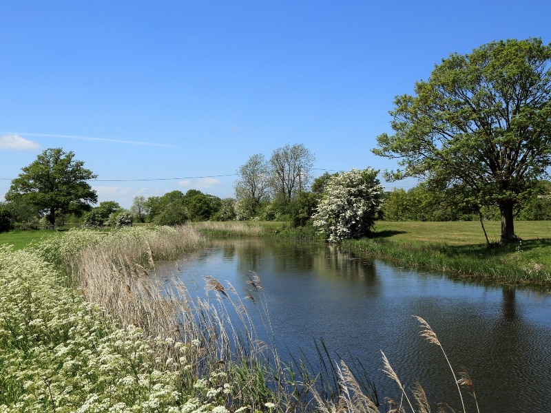 Photo across the Royal Military Canal, Hamstreet, Kent.