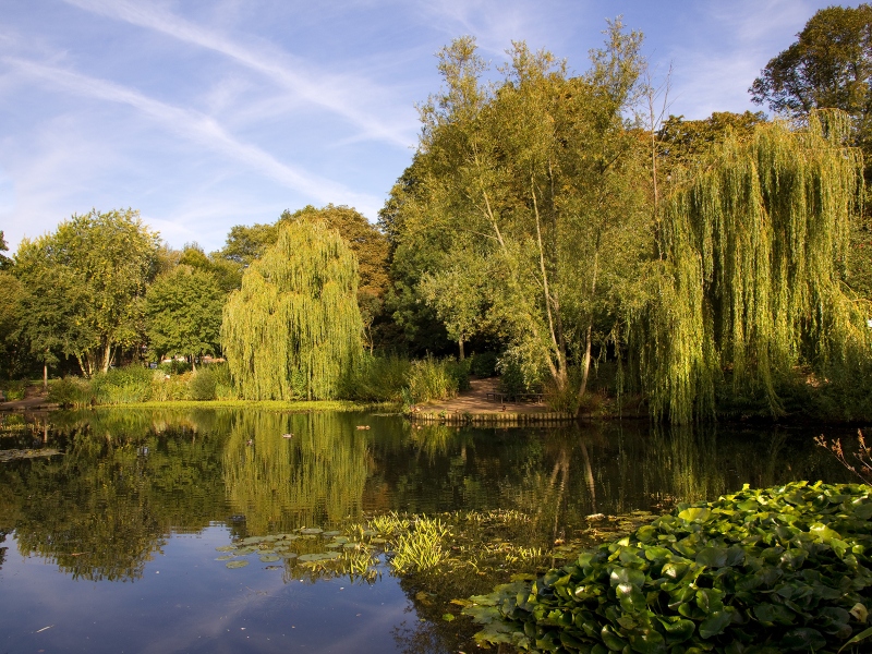 Photo of a lake in Town Park, Melton Mowbray, with loads of greenery surrounding the perimeters