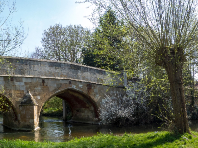 Tunnelled Cringleford bridge surrounded by trees and grass.