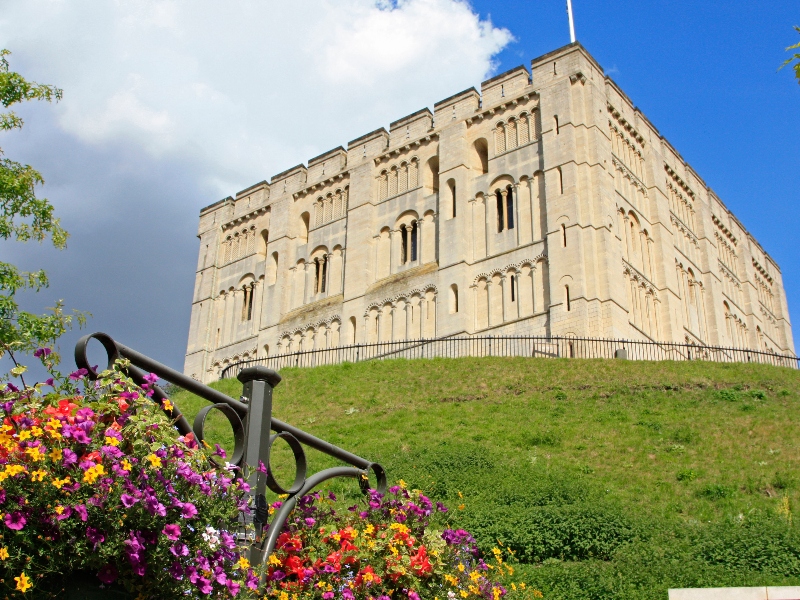 Exterior of Norwich castle with grass and summer flowers surrounding it.
