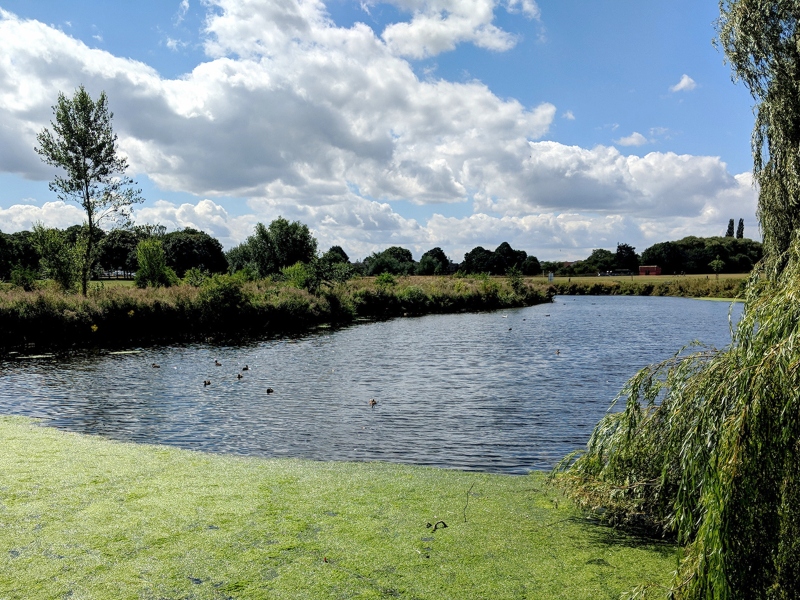 Carr Park Lake in the midday summer sun, Nottinghamshire, UK