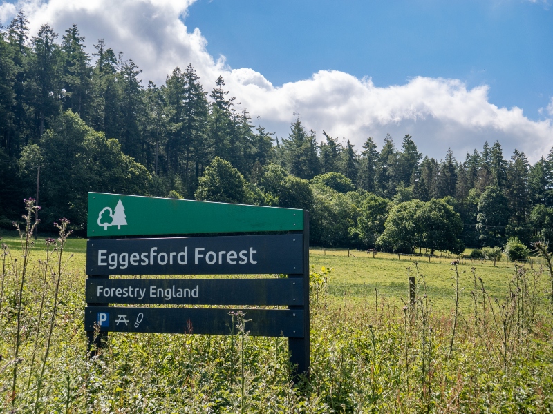 Sign for Eggesford Forest park, with open grass and trees in the background