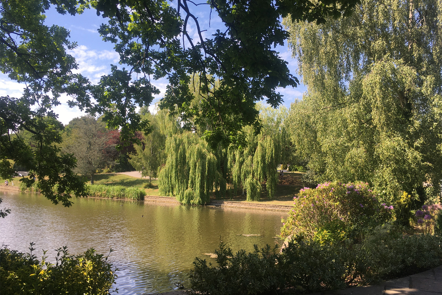 Vew across lake with trees