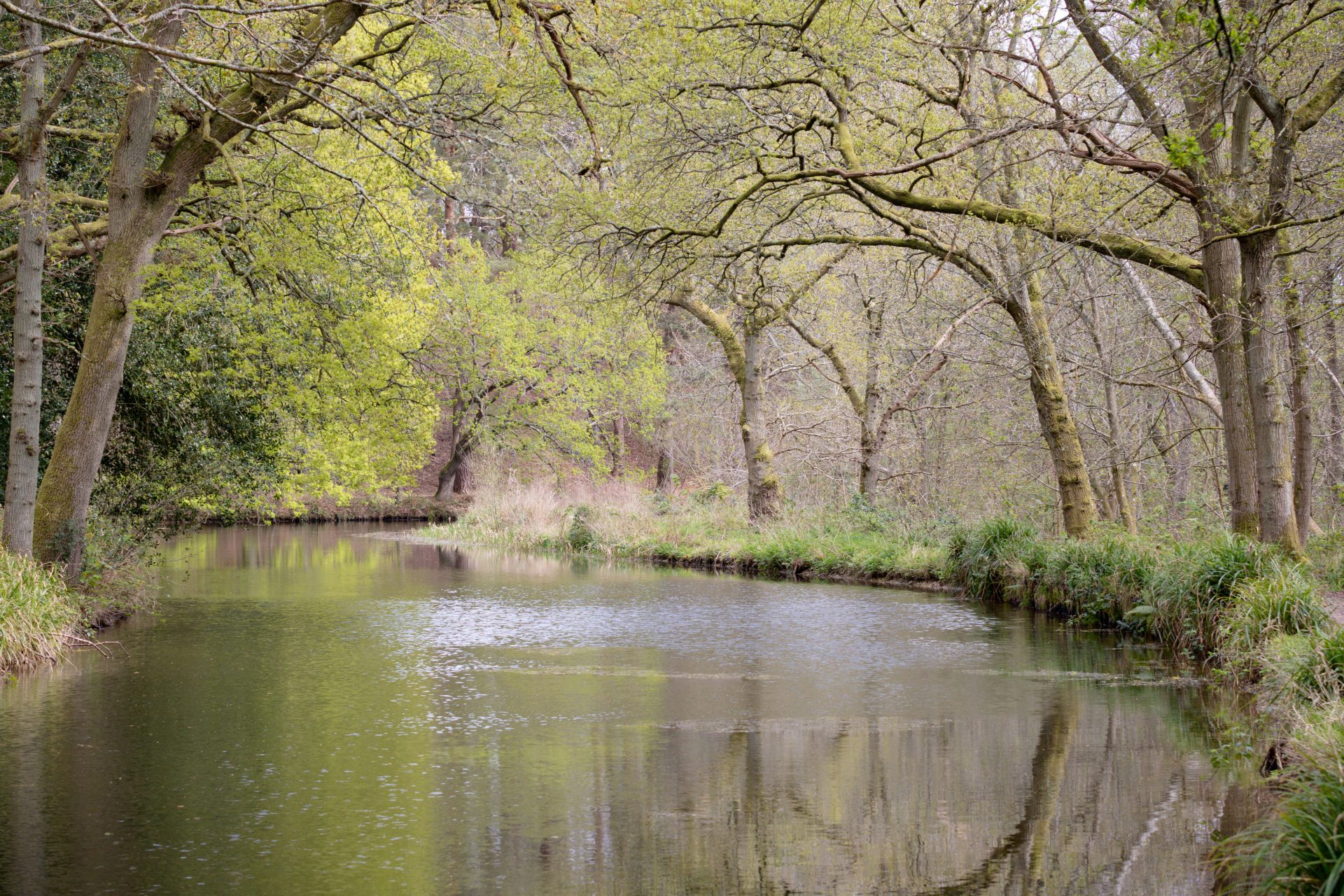 Basingstoke Canal