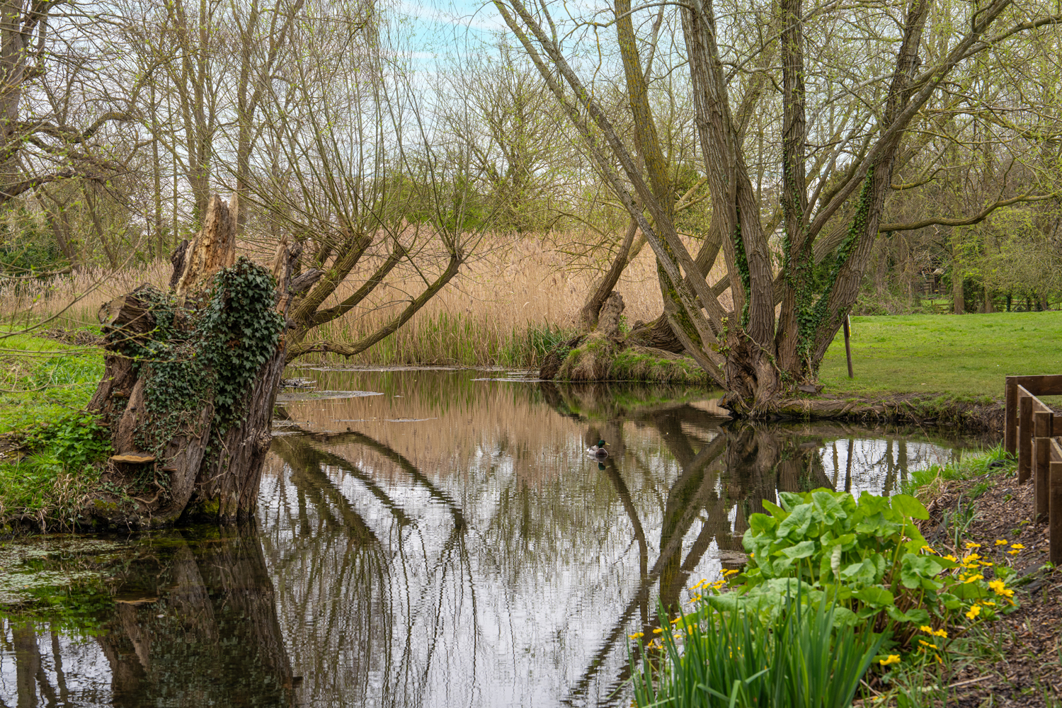 078_LowRes_Bourne-AreaPhotography_DSC08067