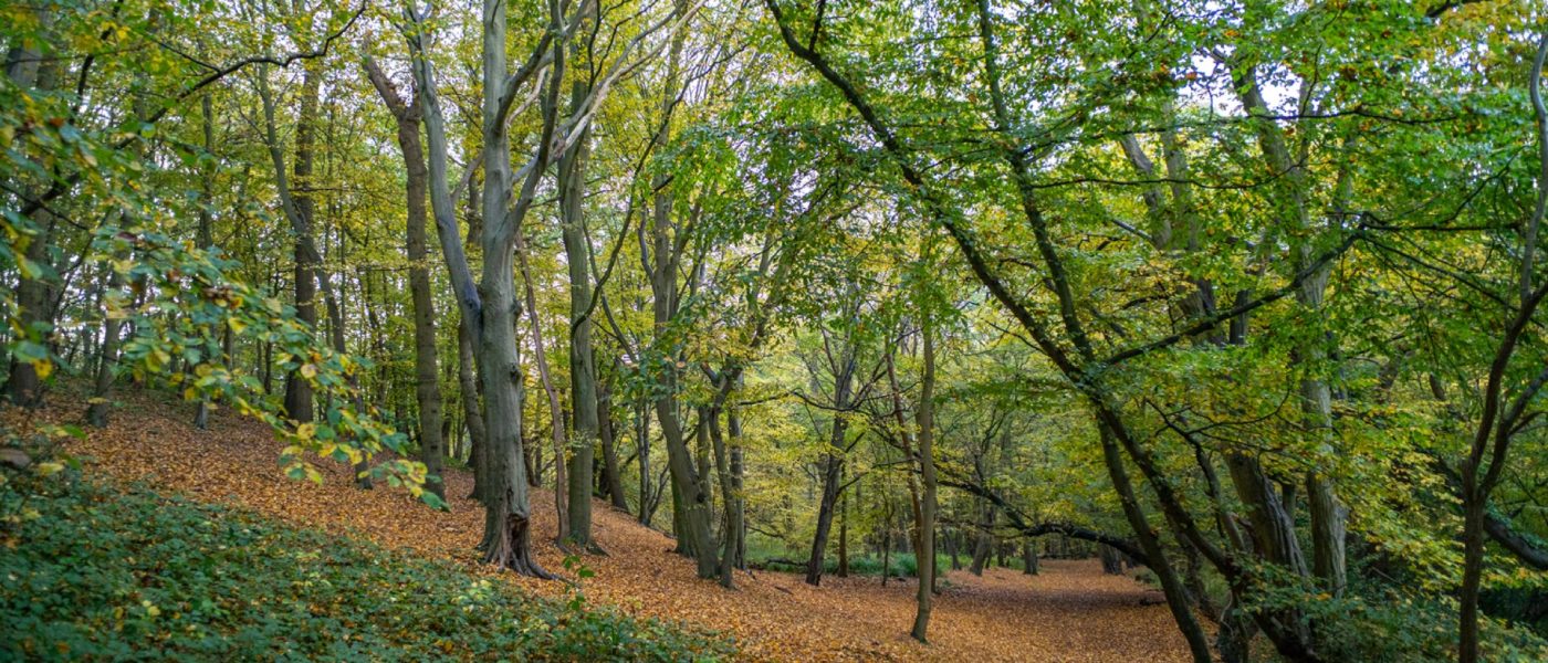 L&G at Bentley Gardens - Hero Image