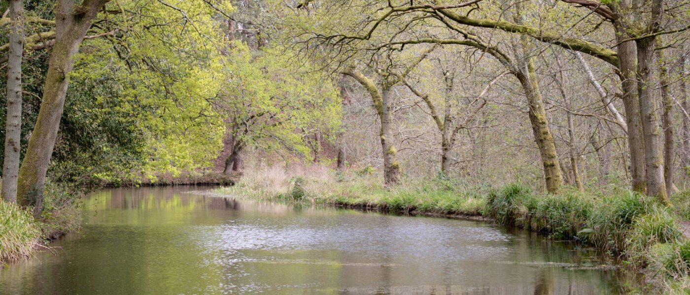 Brunswick at Mindenhurst - Hero Image