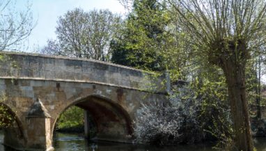 Tunnelled Cringleford bridge surrounded by trees and grass.