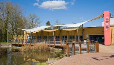 The Lights, professional arts and entertainment venue