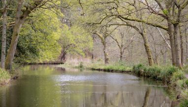 Basingstoke Canal