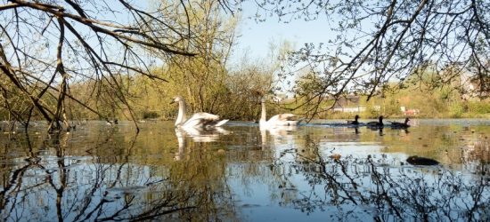 Photo of Kings Pond, Alton, gallery local image for Rivermead Gardens, a collection of new 1 & 2 bedroom Shared Ownership apartments in Alton, Hampshire from Legal & General Affordable Homes.