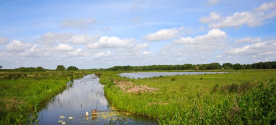 A view of the Mid Yare National Nature Reserve managed by the RSPB at Strumpshaw Common, Norfolk, England, United Kingdom.
