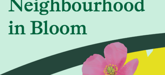 Neighbourhood in Bloom - in association with National Trust - Sky Gardening Competition 2026