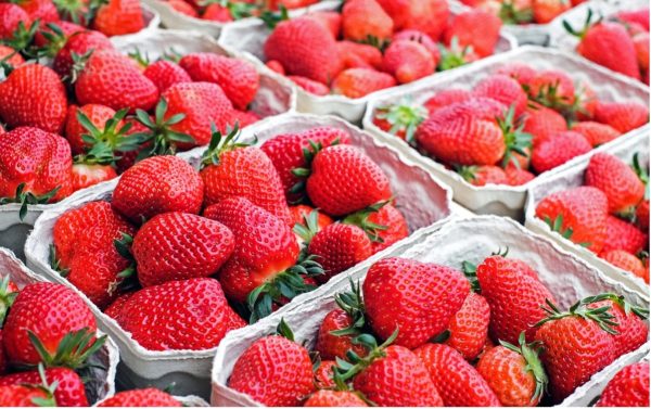 An image of strawberries for the Strawberries & Cream event on Saturday 3rd July at Trent Park, in Enfield North London.