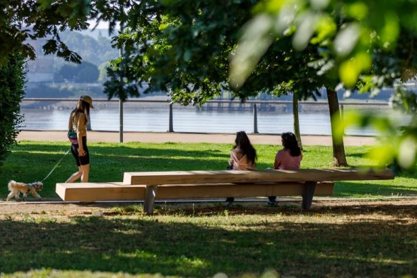 Exterior photo of dog walker and people sitting under a tree in Barrier park