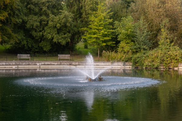 Ipswich park