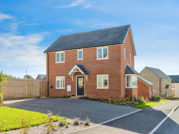 Millennial home ownership: why more young people are buying a forever home