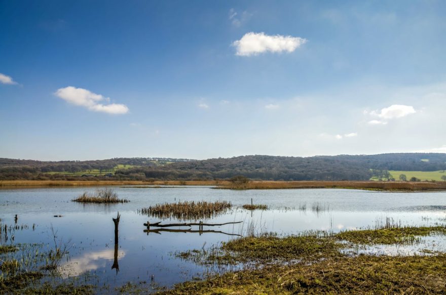 A view of Leighton Moss RSPB, Lancashire on a blue sky day