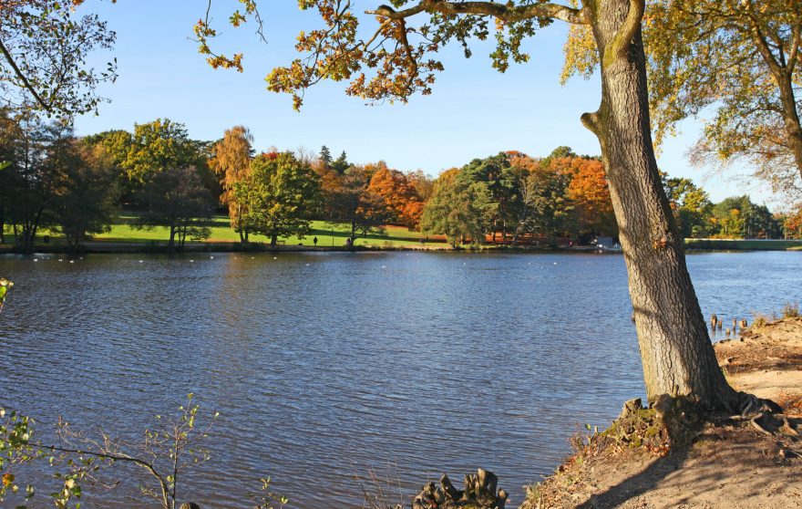 Tilgate Park Lake, Crawley, West Sussex, England, UK